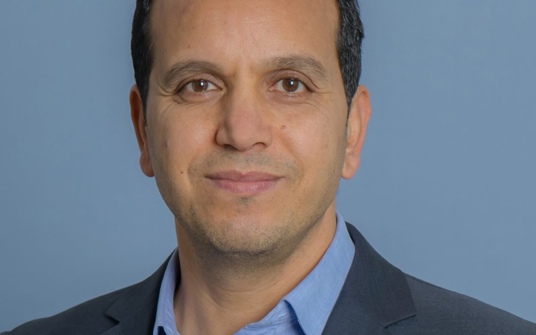 Legal system, not citizenship reform, key to address perceived attacks on Australian values.