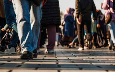 Parallel lives or active citizens? Examining the interplay between multicultural service provision and civic engagement in Australia